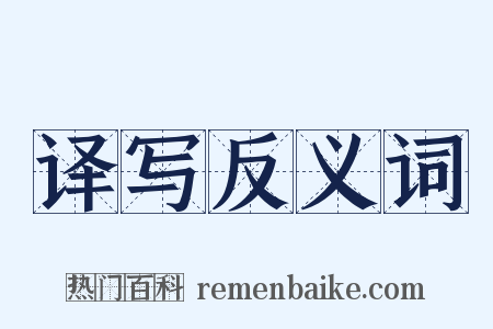 译写反义词是什么意思的图片